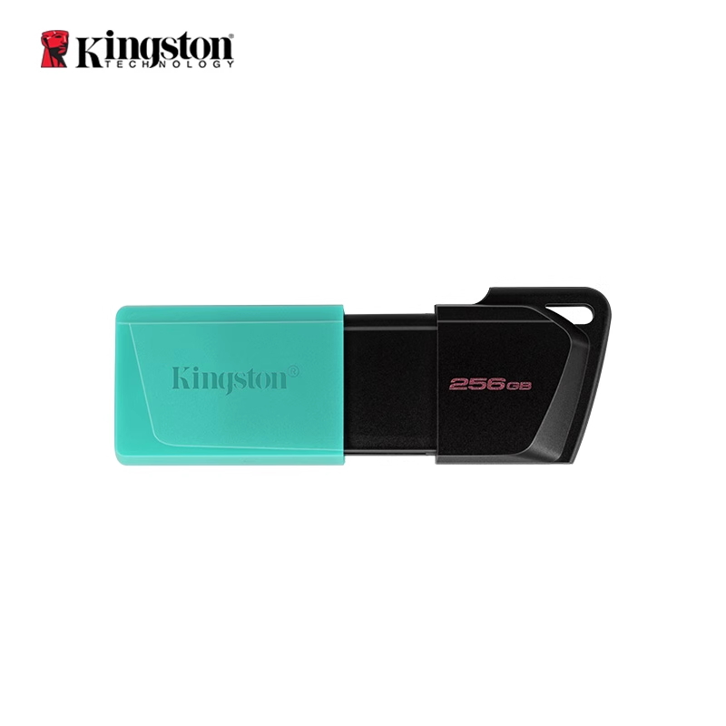 金士顿/Kingston 256 U盘/存储卡 